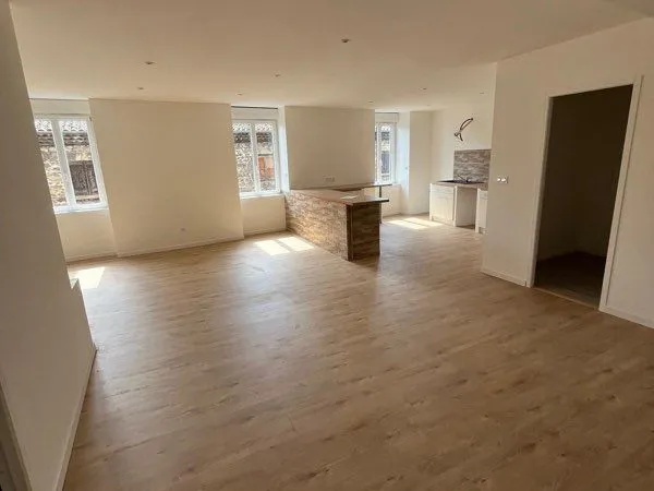 Grand appartement lumineux