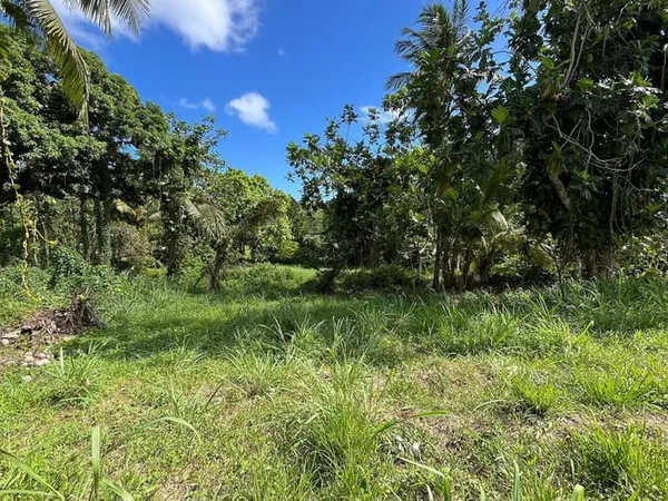 Terrain 1334 m²