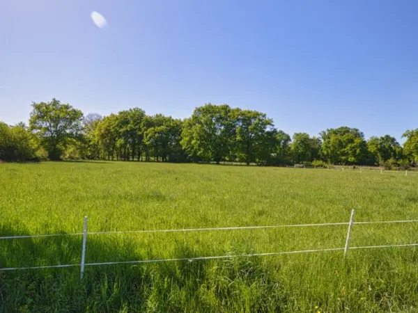 Terrain 7920 m²