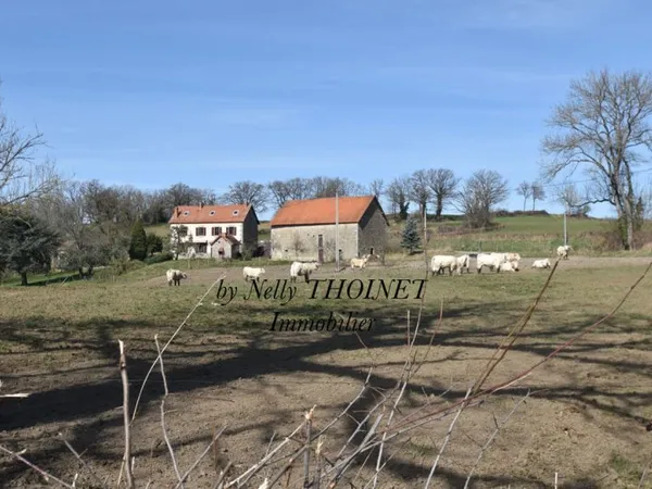 Dépt.23. DONTREIX, ANCIEN CORPS DE FERME en pierre, 7 pièces, dépendances, terrain de 8 774 m2