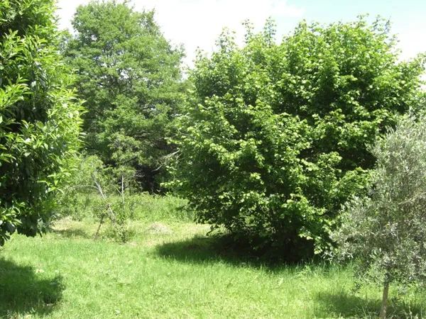 Perigord terrain constructible