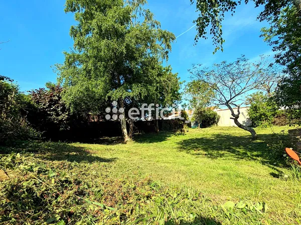 Terrain 617 m²