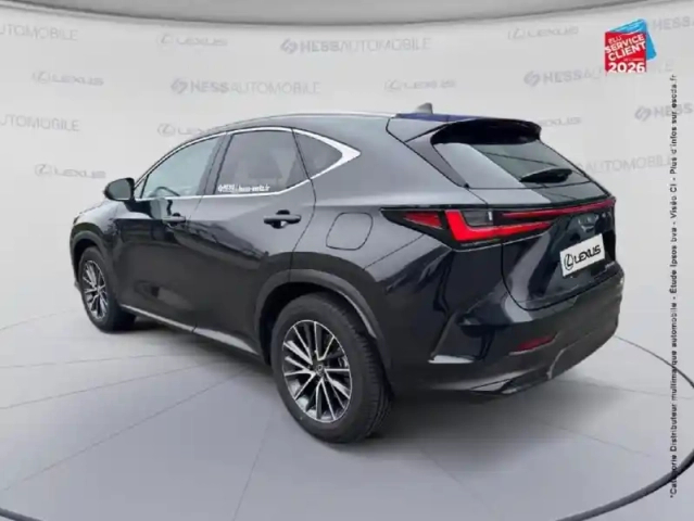 Lexus Nx 450h+ luxe 4wd my25 — photo 8