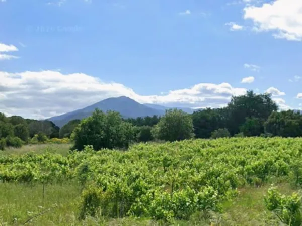 Terrain 397 m²