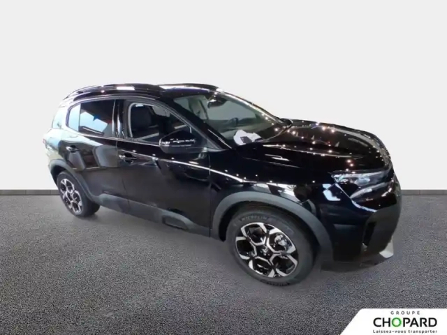 Citroën C5 Aircross bluehdi 130 eat8 — photo 3