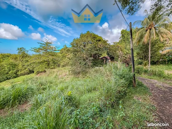 Terrain 465 m² Le François