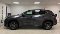 Lexus Nx 450h+ Luxe 4WD MY25 — photo 8