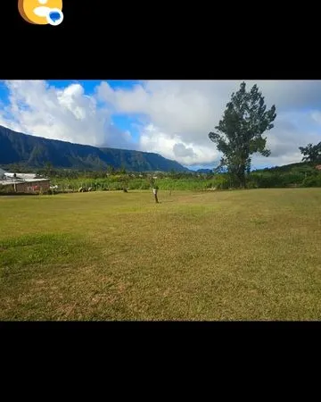 Annonce immobilière