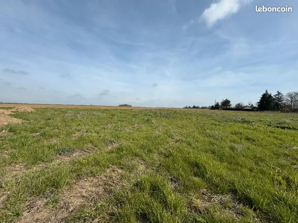 Terrain 565 m² Jumelles