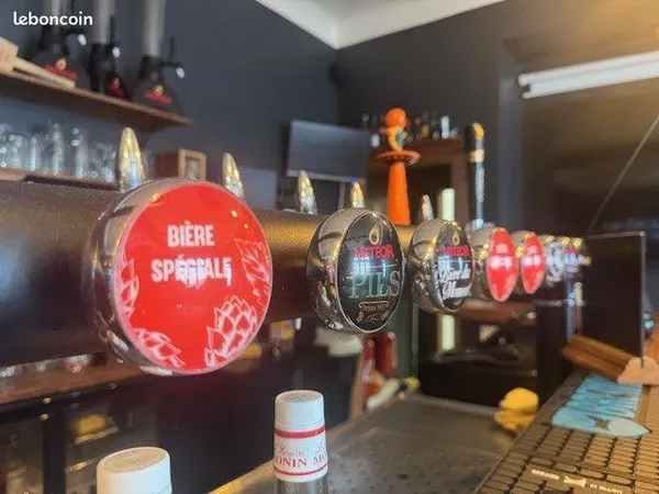 Bar, restaurant 160 m² Drusenheim