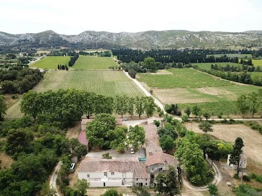 Vignoble 700000 m²