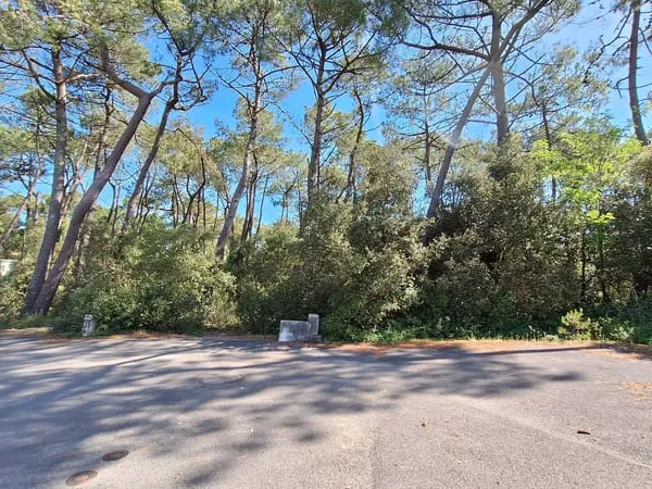 Terrain Saint Jean De Monts 1010 m2