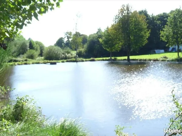Terrain 11000 m² Vautorte