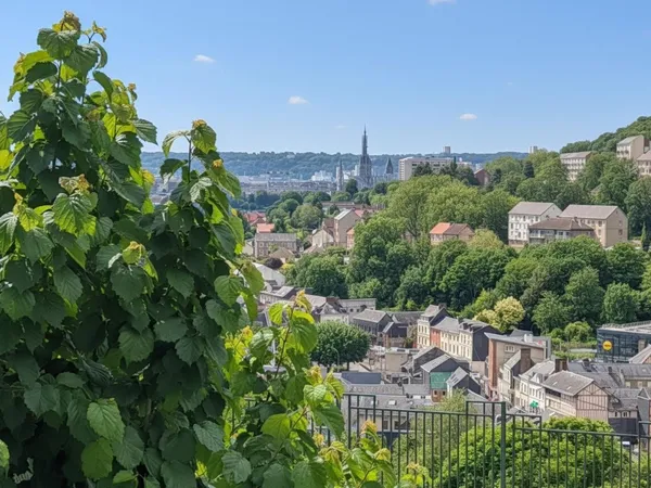 Au calme vue dégagée avec extérieur