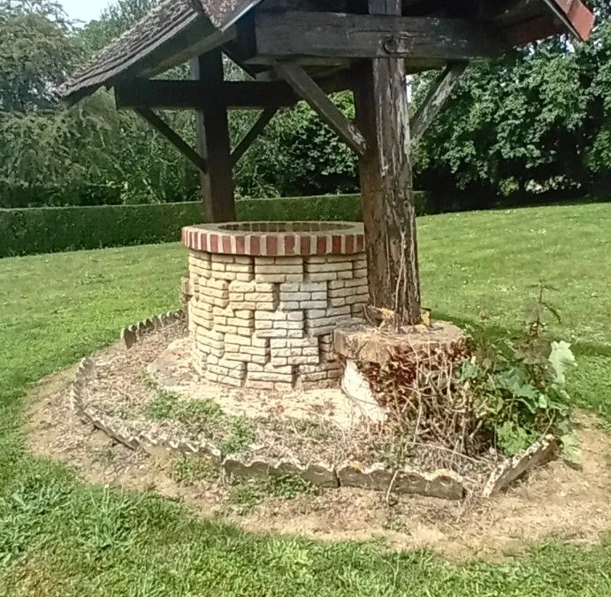 Photo 23