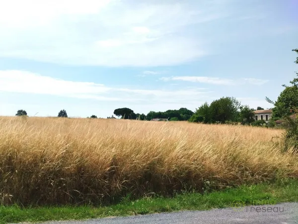Terrain 1000 m²