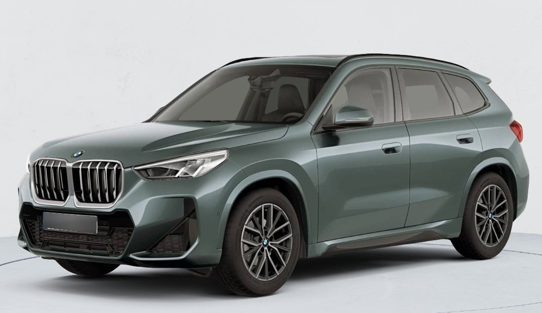 BMW X1 — photo 1
