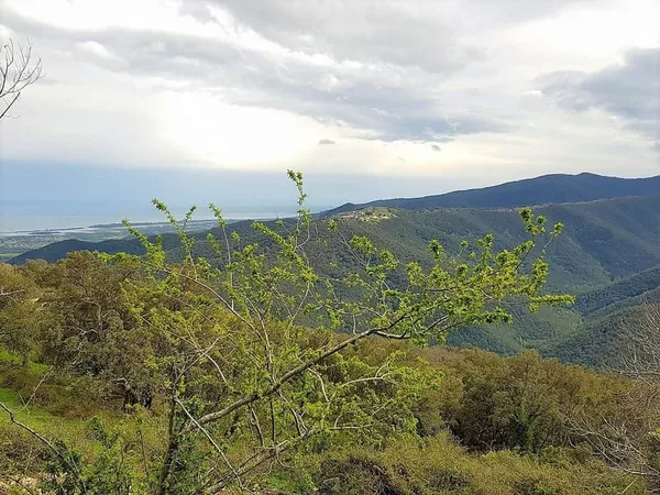 A SAISIR TERRAIN DE 215m2 A VENDRE A PRUNELLI DI FIUMORBO!