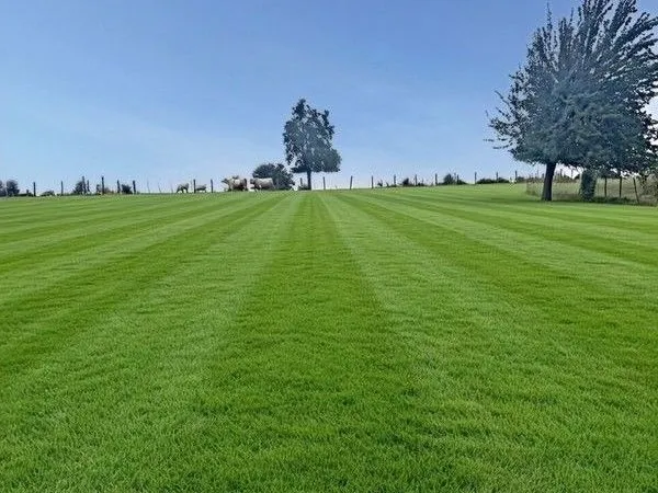 Terrain 905 m² Bosc Mesnil
