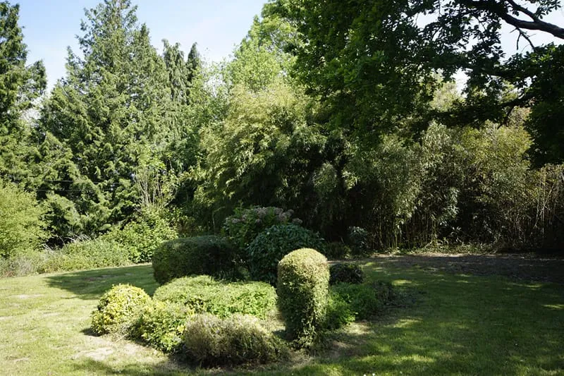 Photo 13
