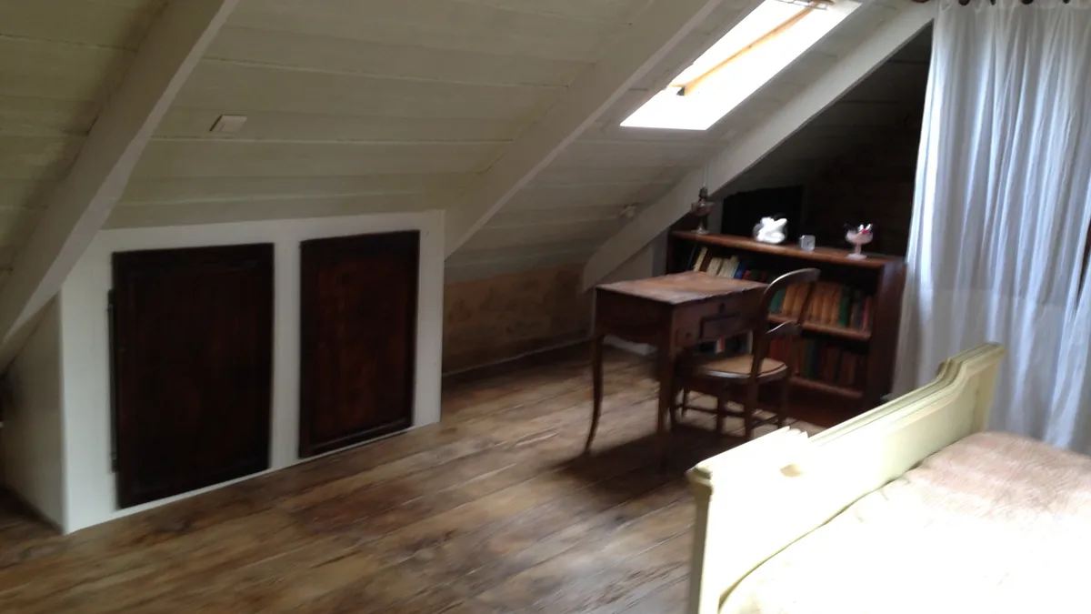 Photo 11