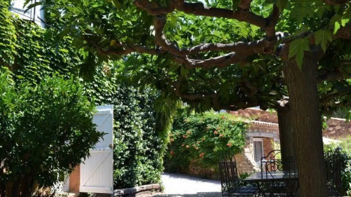 Photo 11