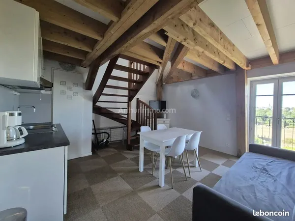 Duplex 3 pièces 29 m²