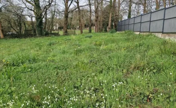 Terrain 1069 m²