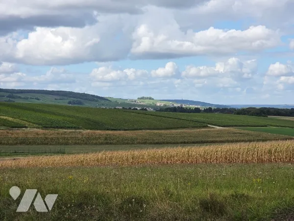 Terrain 1452 m²