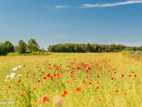 Terrain 770 m² Cissac Medoc