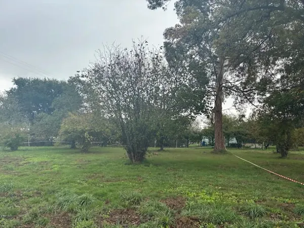 Maison neuve 4 pièces 76 m²