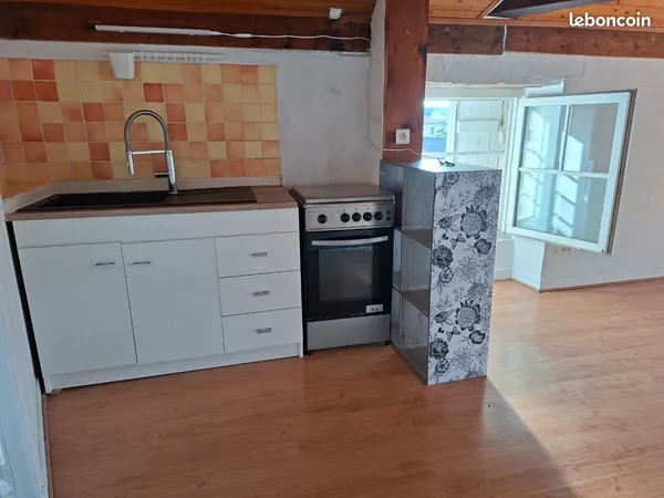 Appartement T 3 centre ville