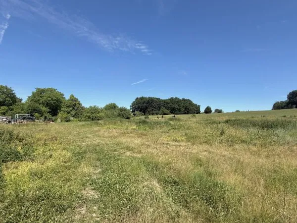 Terrain en individuel 2343 m²