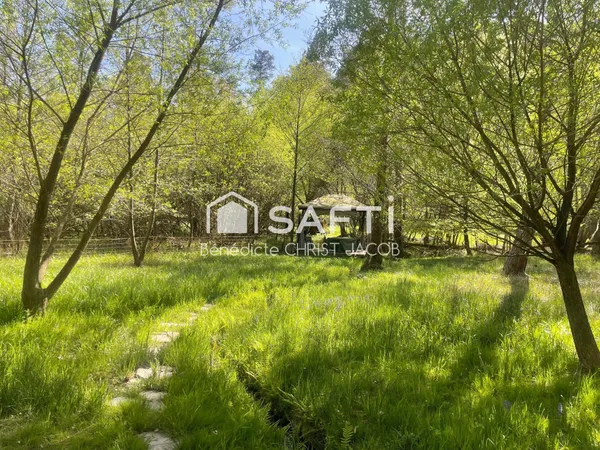 Terrain non constructible en pleine nature dans les Vosges de Nord. Un lieu exceptionnel entouré de 