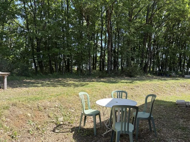 Photo 19