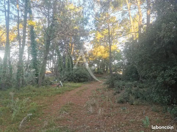 Terrain 569 m² SAINT JEAN DE MONTS
