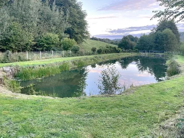 Etang de 1000 m2 sur un terrain de 2740 m2
