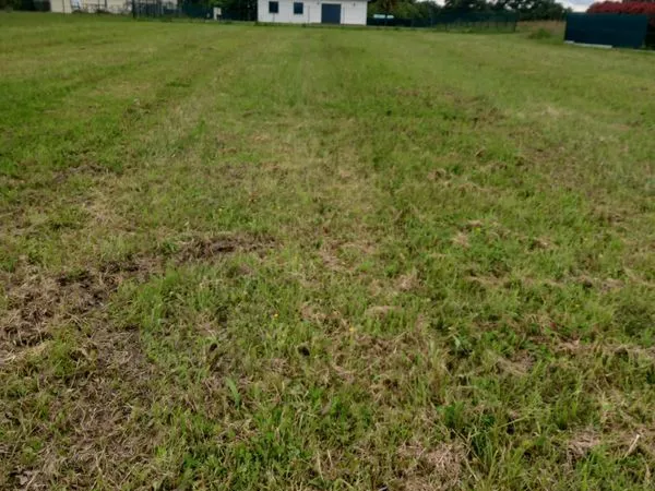 Terrain à vendre
