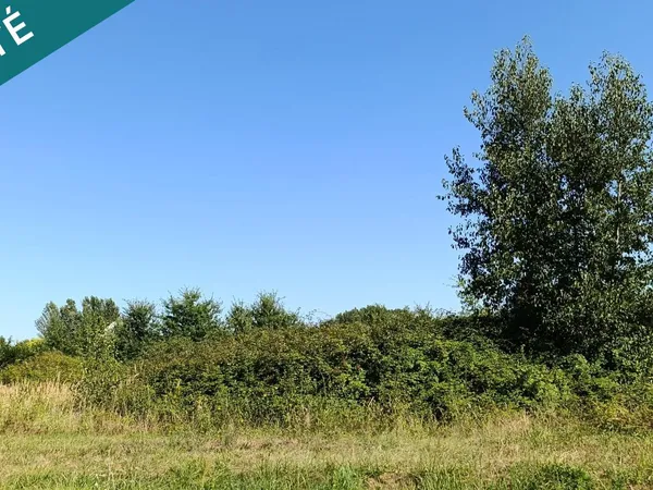 Terrain Vente Savigny-en-Véron  9322m² 159900€