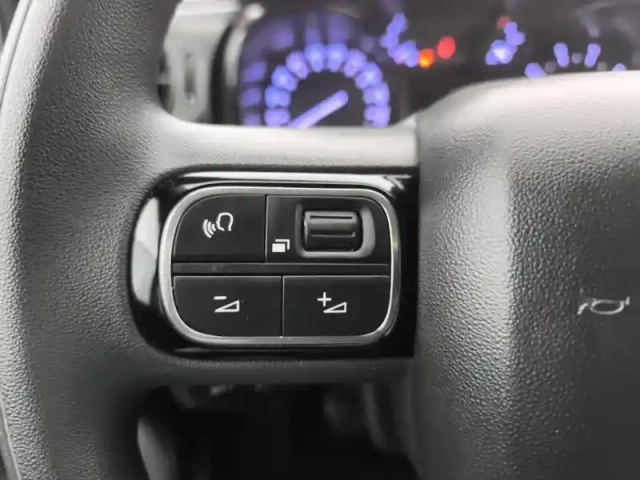 Citroën C3 bluehdi 100 ch bvm6 plus — photo 19