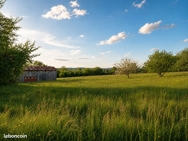 Terrain de loisirs 9 136 m² avec hangar (91 m²) et verger