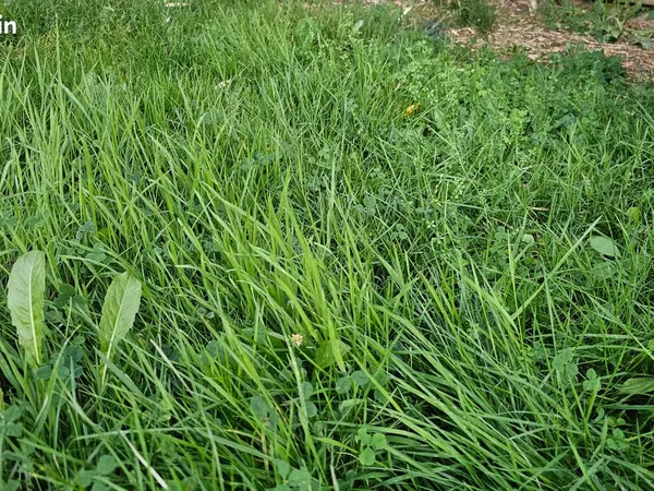 Terrain viabilisé, libre de constructeur de 366m²