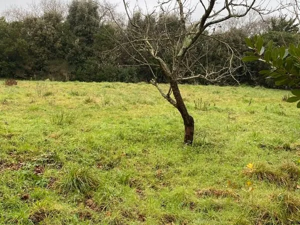 Terrain à la flechouserie