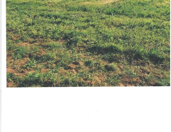 Terrain agricole constructible
