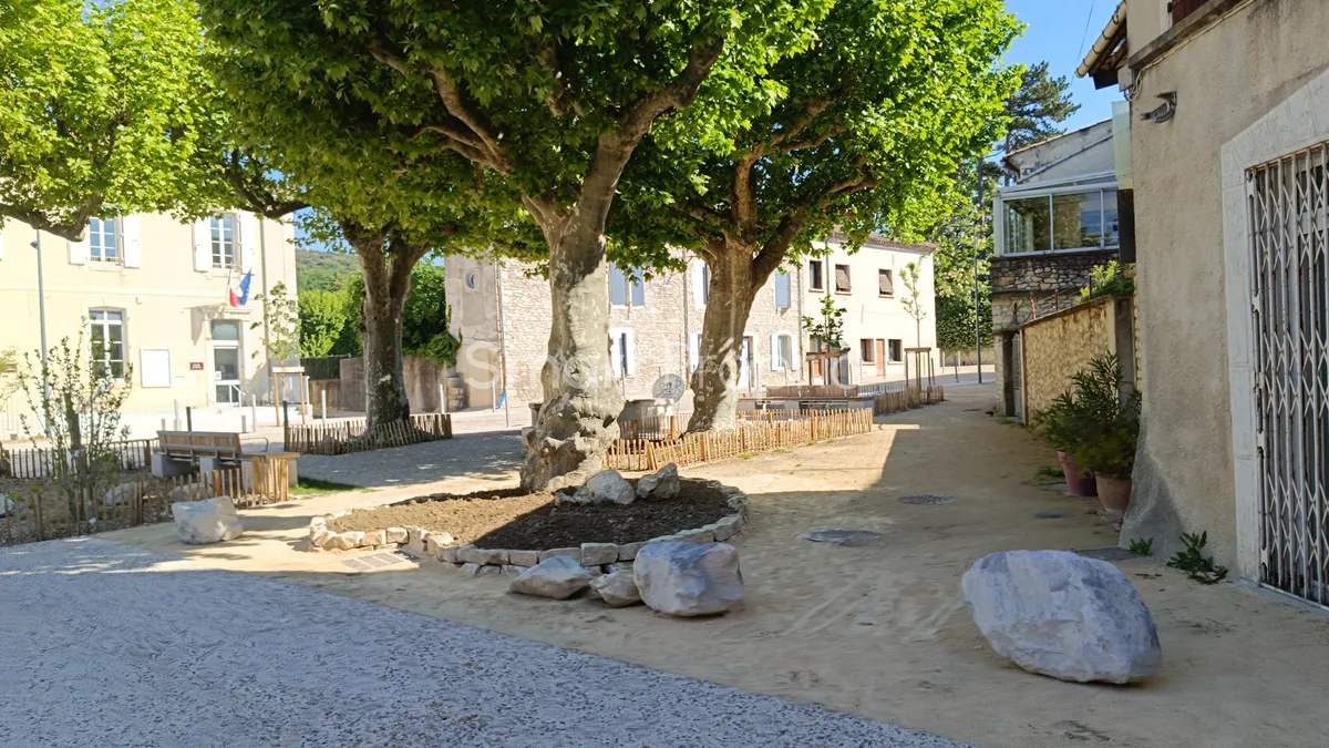Photo 12