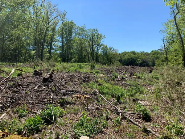 A vendre terrain constructible à SAINT CIRQ MADELON
