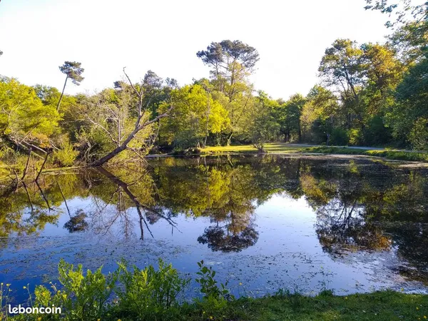 Amis agriculteurs je suis a la recherche d'un plan d'eau pour l'usage de la pêche lac étang graviers