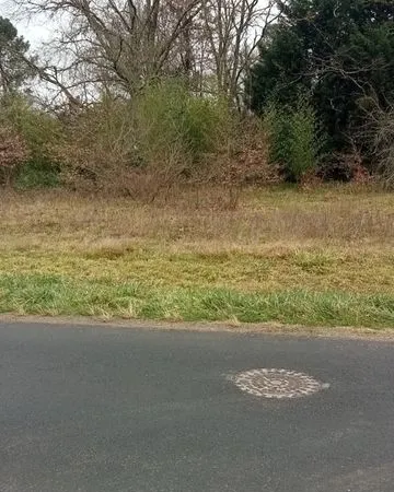 Terrain de 730m2