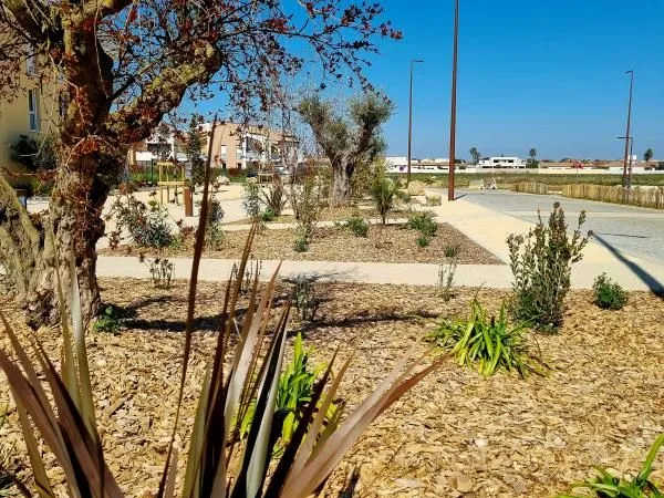 Terrain 275 m² Sauvian