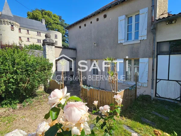 Ensemble immobilier de charme en Sud Touraine - 2 maisons face à un château du XV? siècle